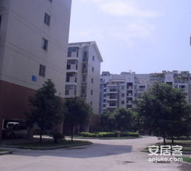 金建 小區(qū)小區(qū)照片