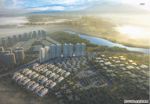 福州順華破產(chǎn)資產(chǎn)成功拍賣 神秘買家揭曉